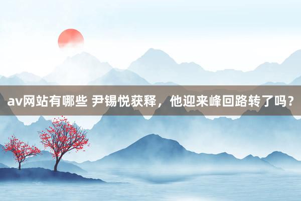 av网站有哪些 尹锡悦获释，他迎来峰回路转了吗？
