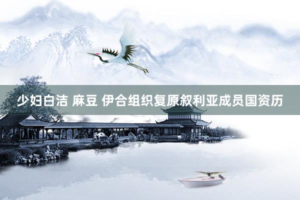 少妇白洁 麻豆 伊合组织复原叙利亚成员国资历