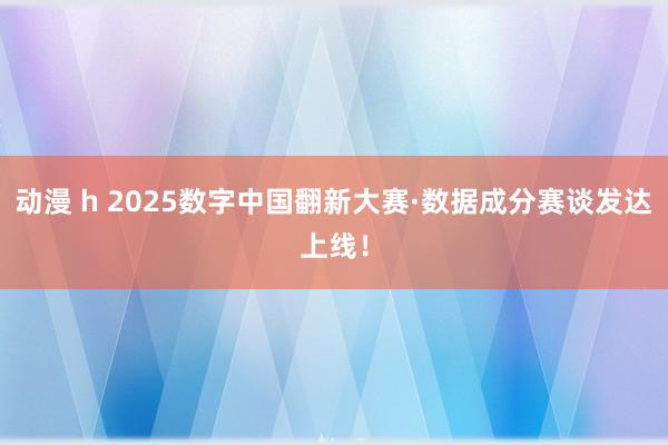 动漫 h 2025数字中国翻新大赛·数据成分赛谈发达上线！