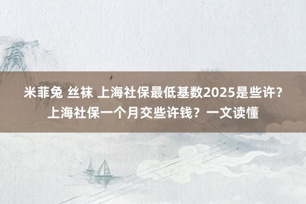 米菲兔 丝袜 上海社保最低基数2025是些许？上海社保一个月交些许钱？一文读懂