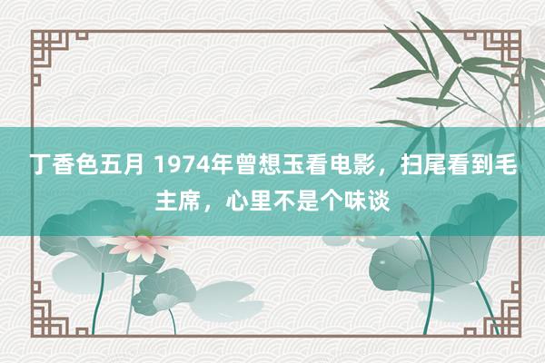 丁香色五月 1974年曾想玉看电影，扫尾看到毛主席，心里不是个味谈