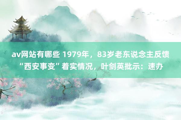 av网站有哪些 1979年，83岁老东说念主反馈“西安事变”着实情况，叶剑英批示：速办