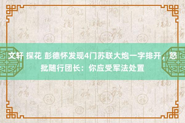 文轩 探花 彭德怀发现4门苏联大炮一字排开，怒批随行团长：你应受军法处置