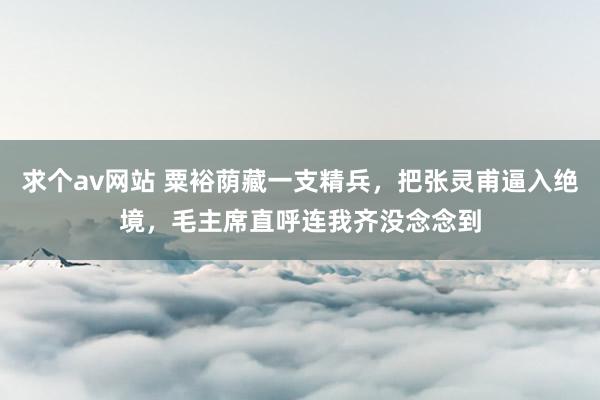 求个av网站 粟裕荫藏一支精兵，把张灵甫逼入绝境，毛主席直呼连我齐没念念到
