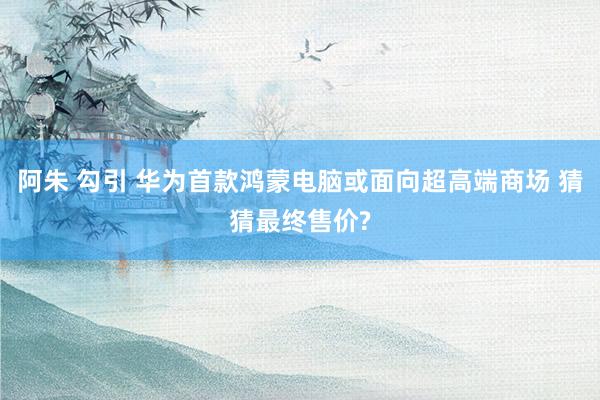 阿朱 勾引 华为首款鸿蒙电脑或面向超高端商场 猜猜最终售价?