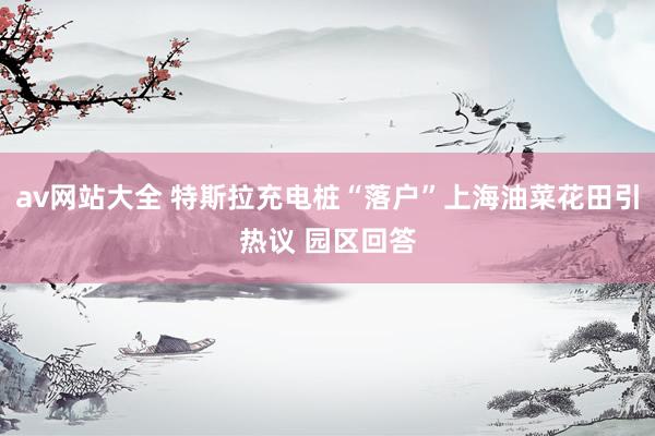 av网站大全 特斯拉充电桩“落户”上海油菜花田引热议 园区回答
