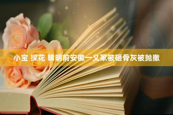 小宝 探花 晴明前安徽一义冢被砸骨灰被抛撒