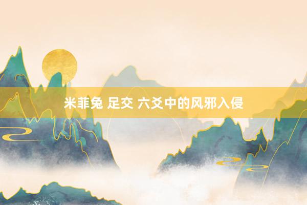 米菲兔 足交 六爻中的风邪入侵